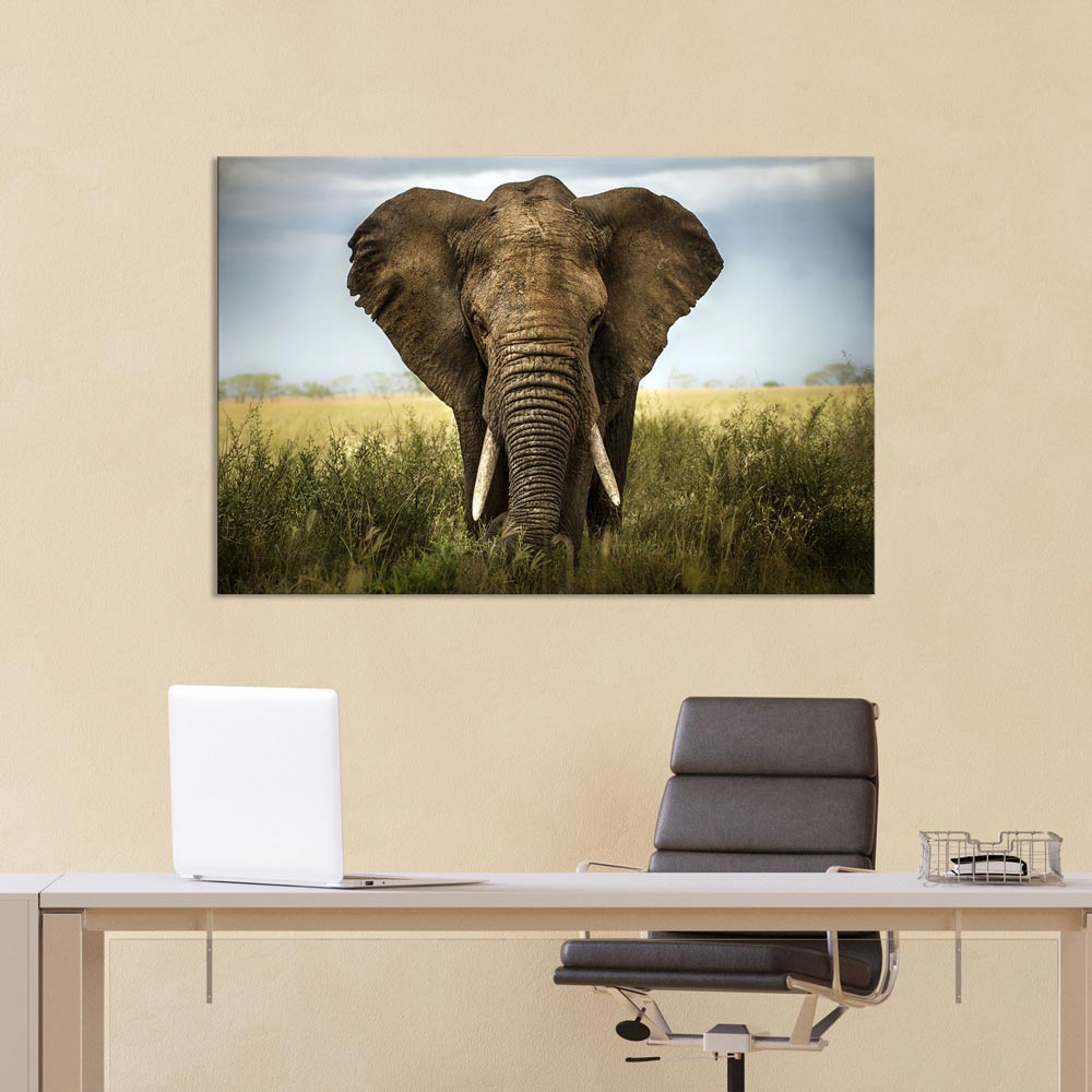 Canvasbild "Elefant - Afrika" über dem Schreibtisch