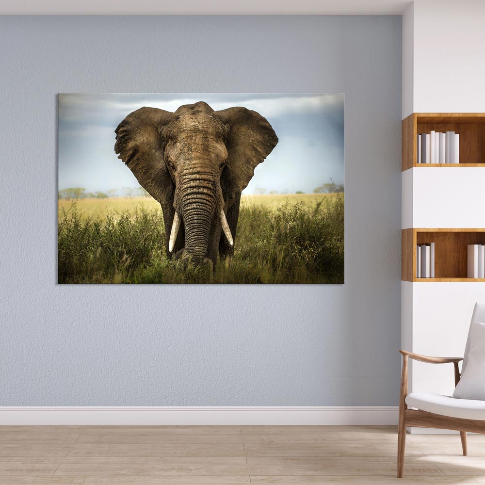 Canvasbild "Elefant - Afrika" mit Bücherschrank und Sessel